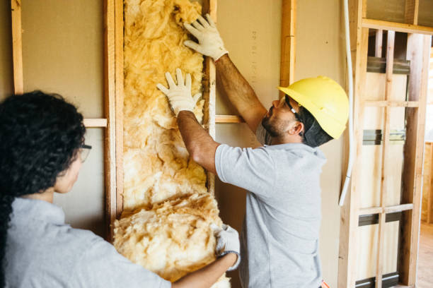 Best Attic Insulation Installation  in Bee Cave, TX